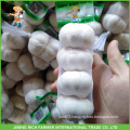 Fresh Style New Crop Fresh Garlic 5.0cm, 5.5cm, 6.0cm up Size